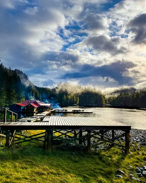 great bear rainforest section